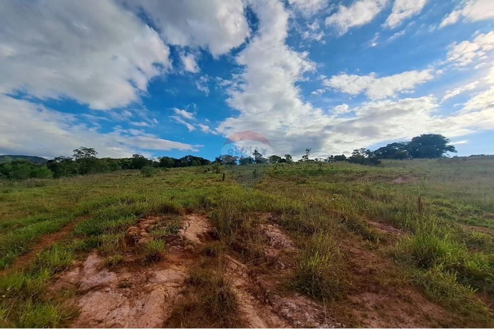 Fazenda - Venda - Cajuru , São Paulo - IMG-20250406-WA0152.jpg - 780171030-57