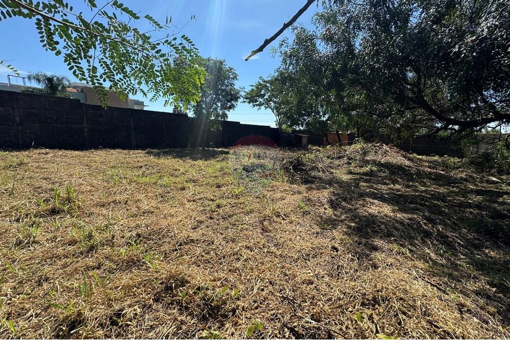 Terreno - Venda - Ribeirão Preto , São Paulo - IMG_7915.JPG - 780171042-30