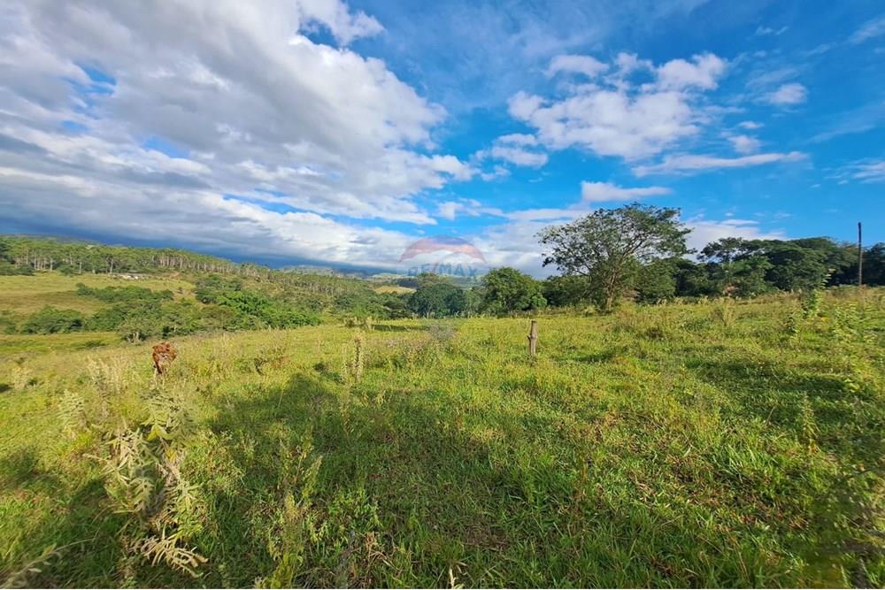 Chácara / Sítio / Fazenda - Venda - Cajuru , São Paulo - IMG-20250406-WA0169.jpg - 780171030-59