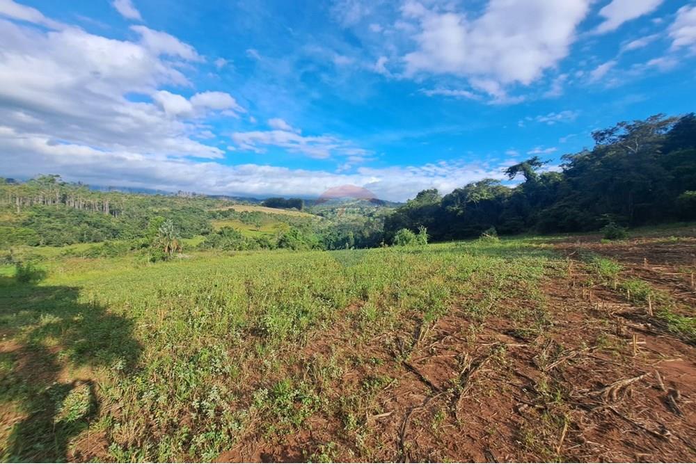 Fazenda - Venda - Cajuru , São Paulo - IMG-20250406-WA0190.jpg - 780171030-57