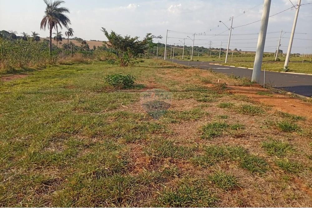 Terreno - Venda - Franca , São Paulo - Fotos Pouso Alegre.jpg - 780231041-29