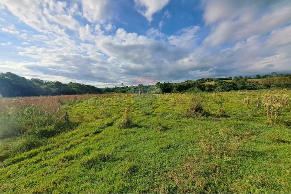 Chácara / Sítio / Fazenda - Venda - Cajuru , São Paulo - IMG-20250406-WA0148.jpg - 780171030-59