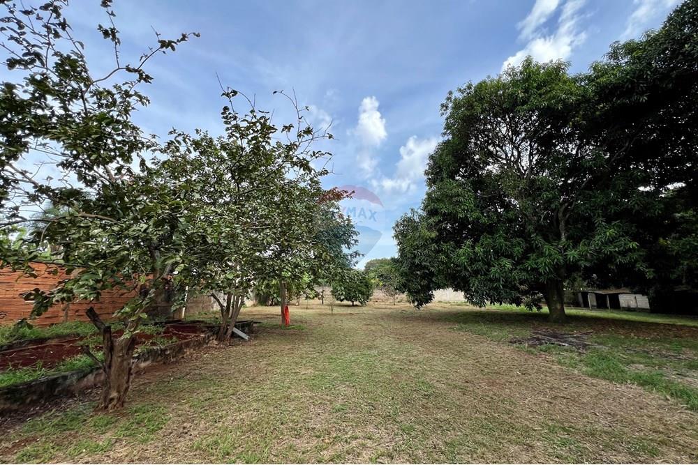 Chácara / Sítio / Fazenda - Venda - Ribeirão Preto , São Paulo - image00075.jpeg - 780201013-67