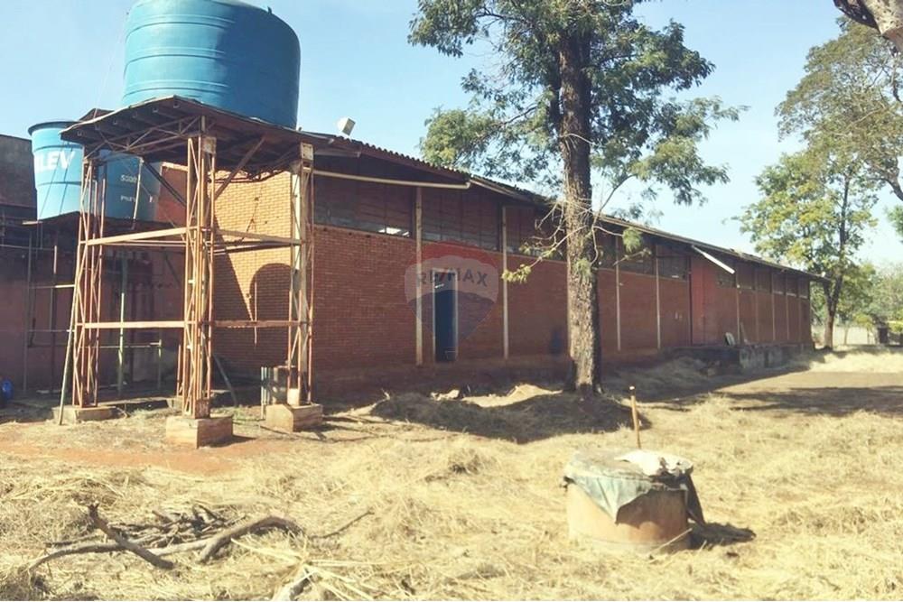 Galpão - Alugar - Ribeirão Preto , São Paulo - IMG-20250527-WA0014.jpg - 780181012-676