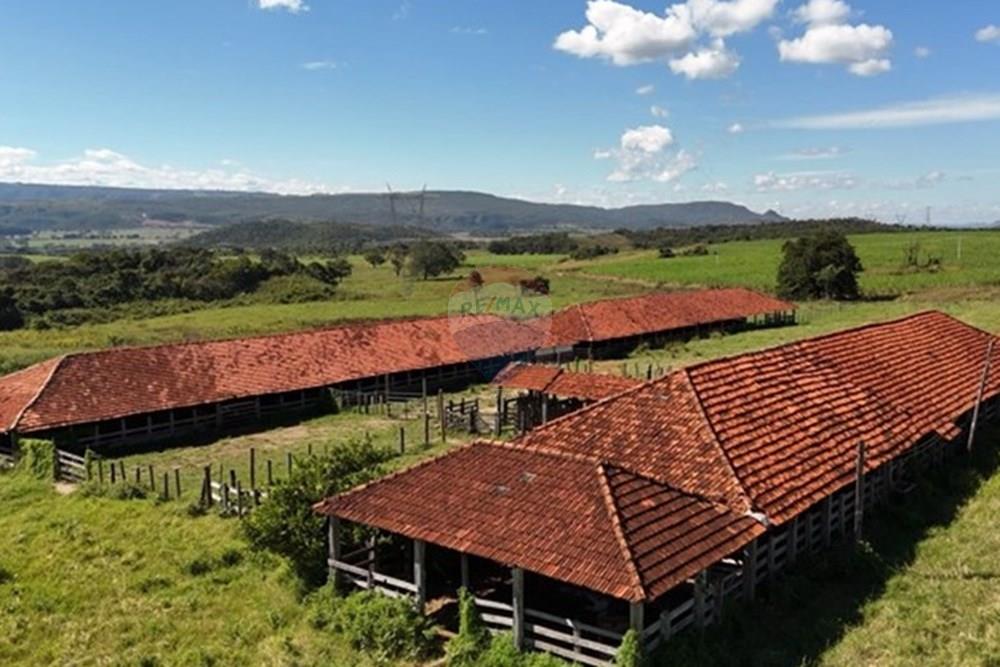 Fazenda - Venda - Rifaina , São Paulo - Captura de tela 2025-05-21 150212.jpg - 780071051-5