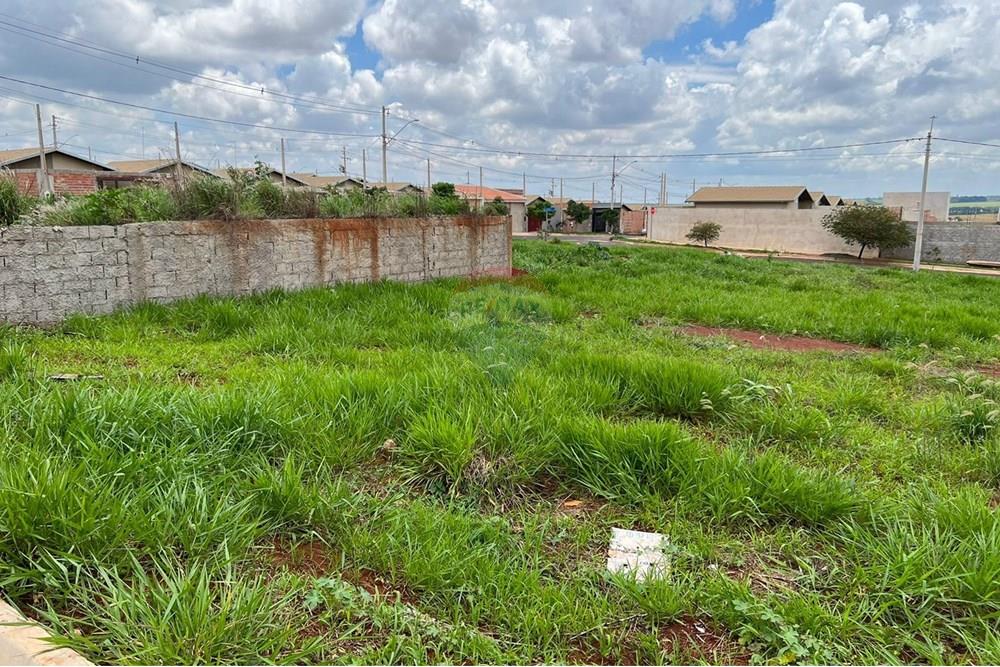 Terreno - Venda - Cravinhos , São Paulo - Terras de Carvinhos - Terreno 10.jpeg - 780271023-5