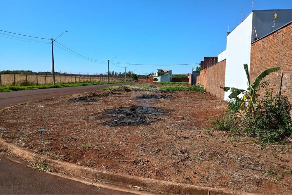 Terreno - Venda - São Joaquim da Barra , São Paulo - IMG-20251023-WA0072.jpg - 780301004-7