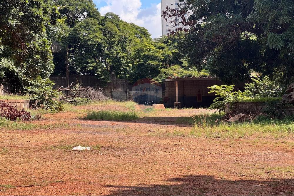 Terreno - Alugar - Ribeirão Preto , São Paulo - RUA ANTONIO FERNANDES FIGUEROA 1166 TERRENO (4 de 9).jpg - 780071015-251