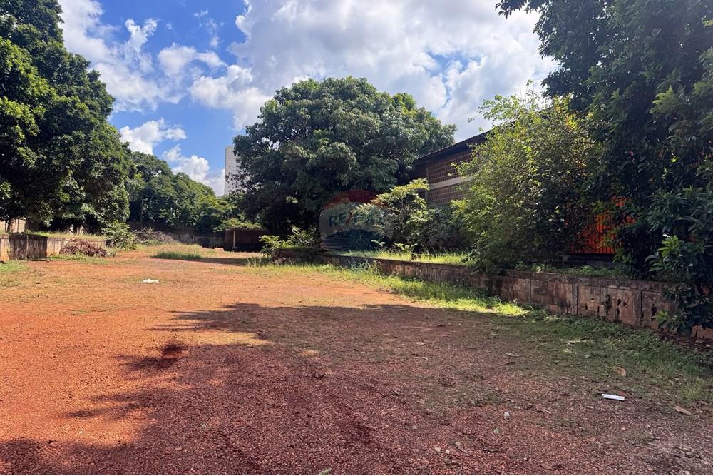 Terreno - Alugar - Ribeirão Preto , São Paulo - RUA ANTONIO FERNANDES FIGUEROA 1166 TERRENO (5 de 9).jpg - 780071015-251