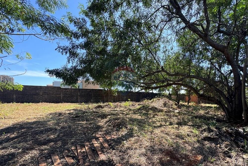 Terreno - Venda - Ribeirão Preto , São Paulo - IMG_7910.JPG - 780171042-30