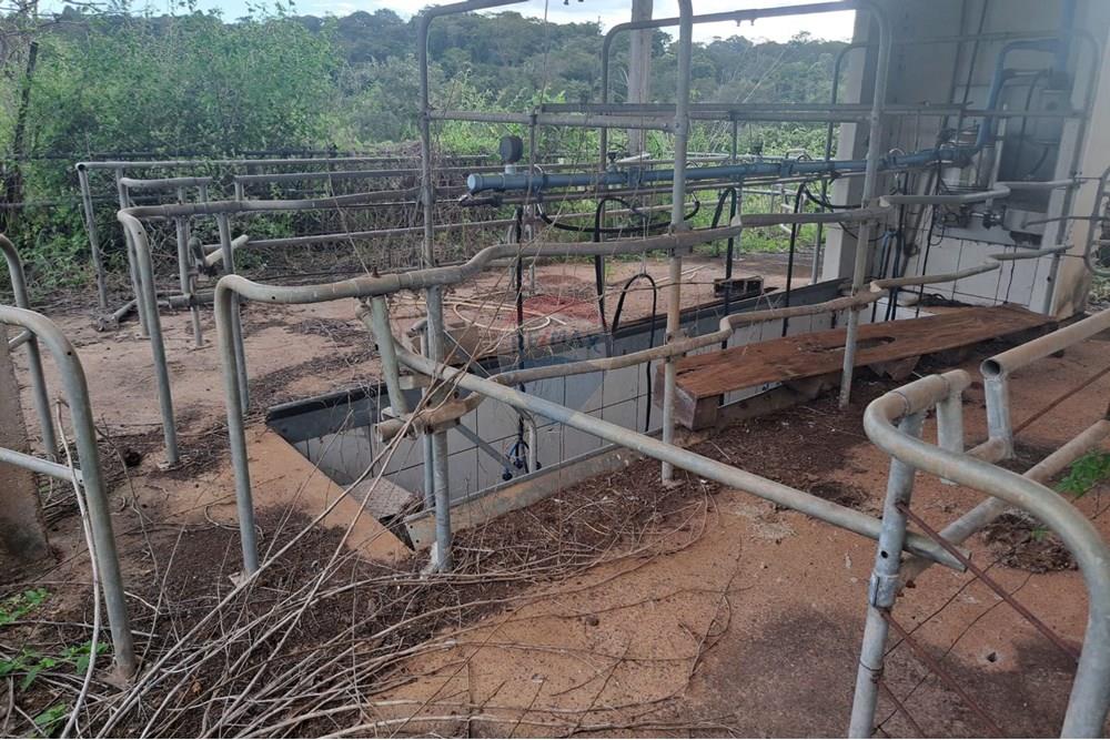 Fazenda - Venda - Cajuru , São Paulo - IMG-20250406-WA0106.jpg - 780171030-57