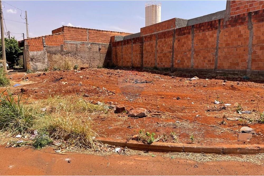 Terreno - Venda - São Joaquim da Barra , São Paulo - IMG-20250916-WA0272.jpg - 780301010-2