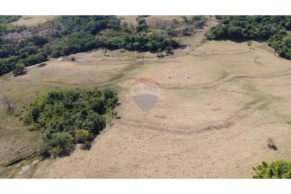 Chácara / Sítio / Fazenda - Venda - Santo Antônio da Alegria , São Paulo - DJI_0043.JPG - 780171030-66