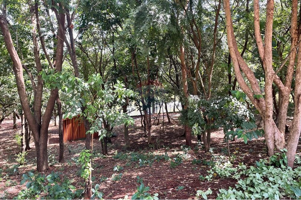 Terreno - Venda - Ribeirão Preto , São Paulo - Bosque.jpg - 780131037-16