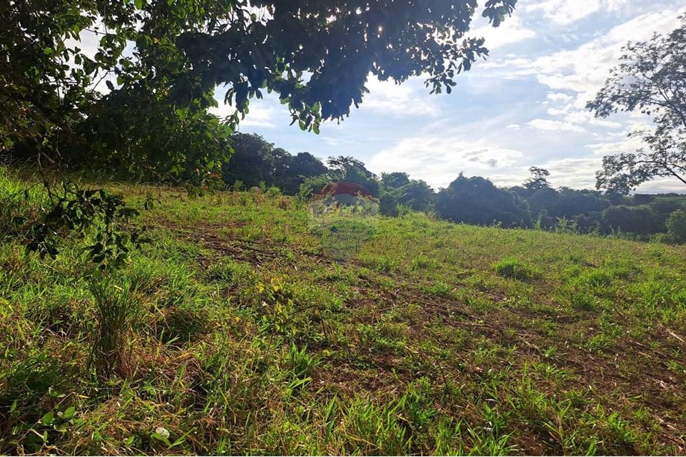 Chácara / Sítio / Fazenda - Venda - Cajuru , São Paulo - IMG-20250406-WA0160.jpg - 780171030-59