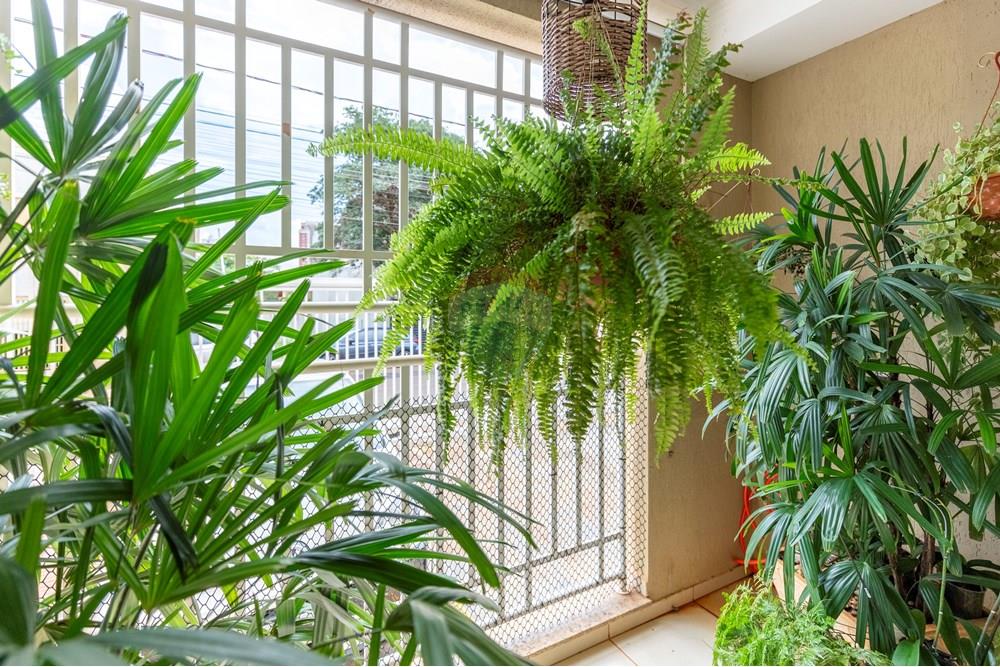 Apartamento - Venda - Ribeirão Preto , São Paulo - IMG_4794-HDR.jpg - 780251003-18