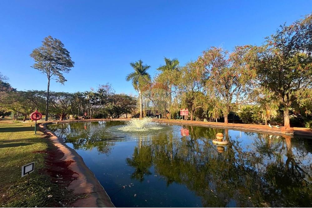 Casa de Condomínio - Venda - Ribeirão Preto , São Paulo - 26d7258b-35e6-44b9-9451-3db2f055099a.jpg - 780251035-21