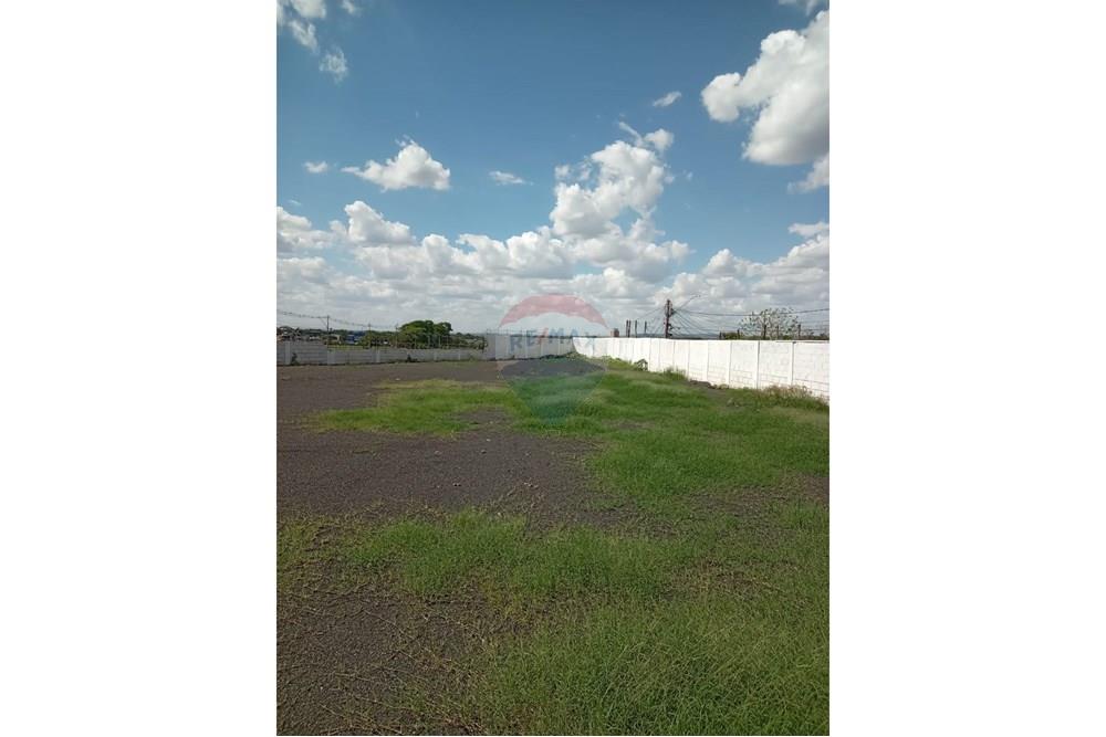 Galpão - Alugar - Ribeirão Preto , São Paulo - IMG-20250530-WA0062.jpg - 780181012-682