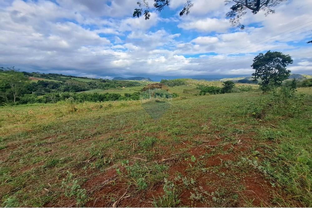 Fazenda - Venda - Cajuru , São Paulo - IMG-20250406-WA0159.jpg - 780171030-57