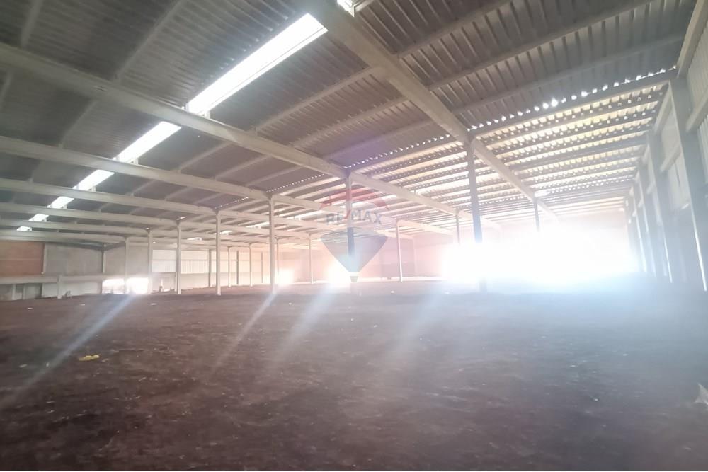 Galpão - Alugar - Ribeirão Preto , São Paulo - IMG_20250919_145310.jpg - 780181012-806