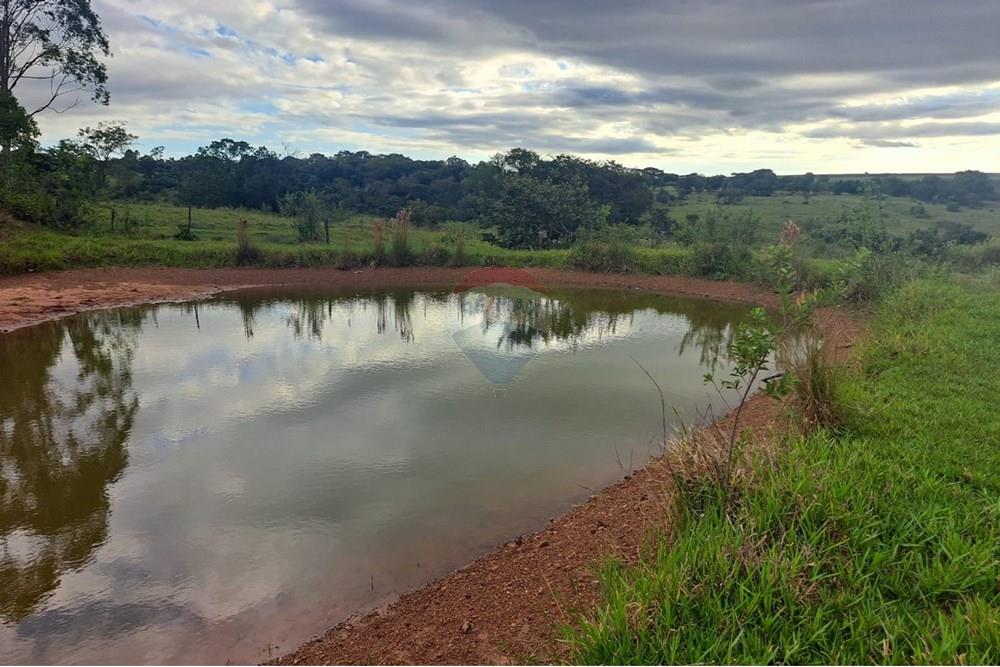 Chácara / Sítio / Fazenda - Venda - Cajuru , São Paulo - IMG-20250406-WA0097.jpg - 780171030-59