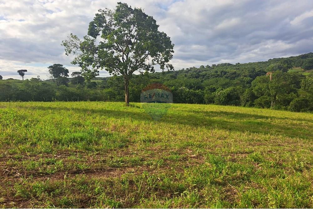 Chácara / Sítio / Fazenda - Venda - Cajuru , São Paulo - IMG-20250406-WA0162.jpg - 780171030-59