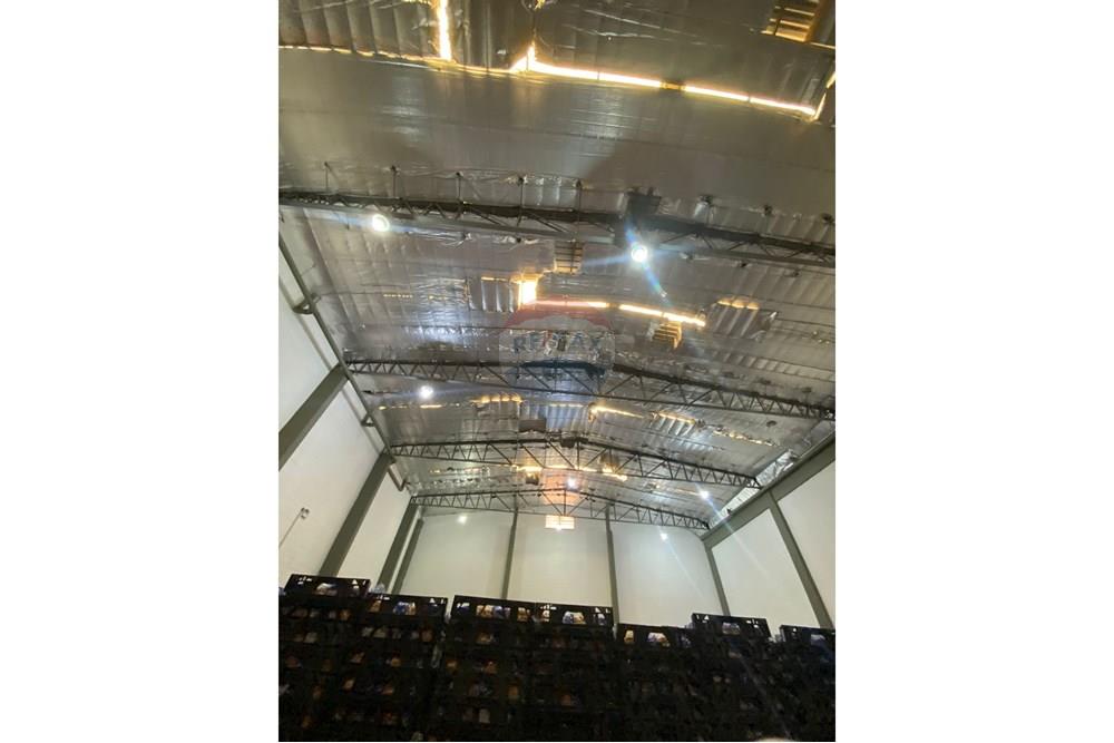 Galpão - Alugar - Ribeirão Preto , São Paulo - IMG-20250724-WA0005.jpg - 780181012-733