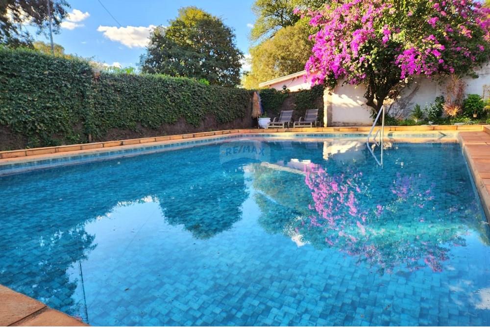 Chácara / Sítio / Fazenda - Venda - Ribeirão Preto , São Paulo - WhatsApp Image 2025-06-27 at 10.57.58 (1).jpeg - Quintal - 780091032-138