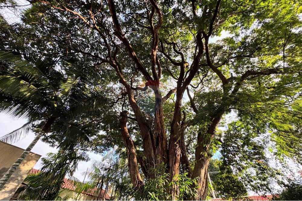 Chácara / Sítio / Fazenda - Venda - Ribeirão Preto , São Paulo - IMG_5439.JPG - 780071079-4