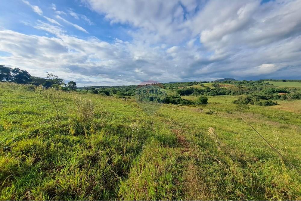 Fazenda - Venda - Cajuru , São Paulo - IMG-20250406-WA0178.jpg - 780171030-57