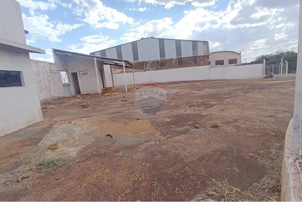 Outros - Alugar - Ribeirão Preto , São Paulo - IMG-20250812-WA0021.jpg - 780181012-755