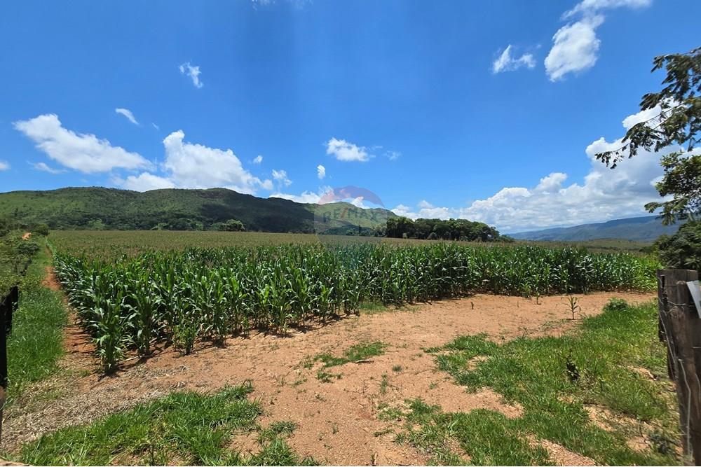 Chácara / Sítio / Fazenda - Venda - Delfinópolis , Minas Gerais - 20250110_124903.jpg - 780251001-45