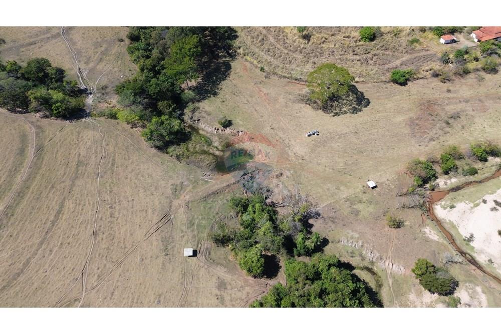 Chácara / Sítio / Fazenda - Venda - Santo Antônio da Alegria , São Paulo - DJI_0050.JPG - 780171030-66