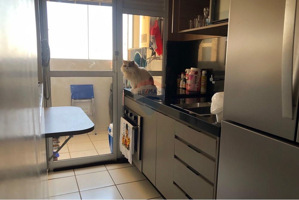 Apartamento - Venda - Ribeirão Preto , São Paulo - WhatsApp Image 2025-09-17 at 17.07.58.jpeg - Cozinha - 780241028-8