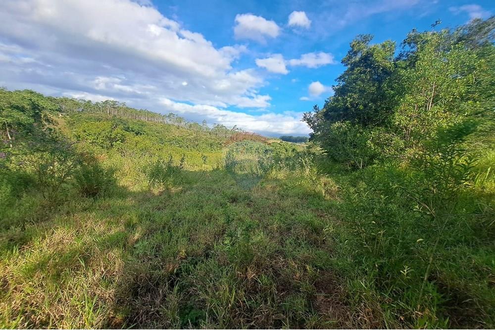 Fazenda - Venda - Cajuru , São Paulo - IMG-20250406-WA0184.jpg - 780171030-57