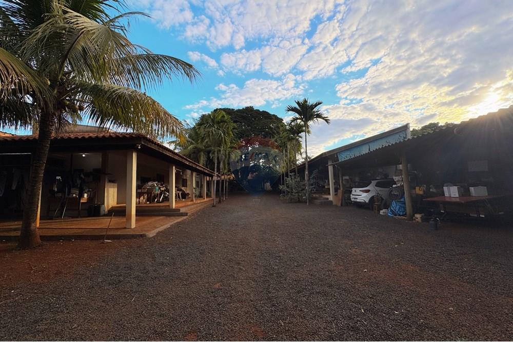 Chácara / Sítio / Fazenda - Venda - Ribeirão Preto , São Paulo - IMG_5373.JPG - 780071079-4