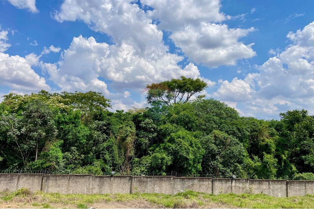 Terreno - Venda - Ribeirão Preto , São Paulo - image00014.jpeg - 780121005-78