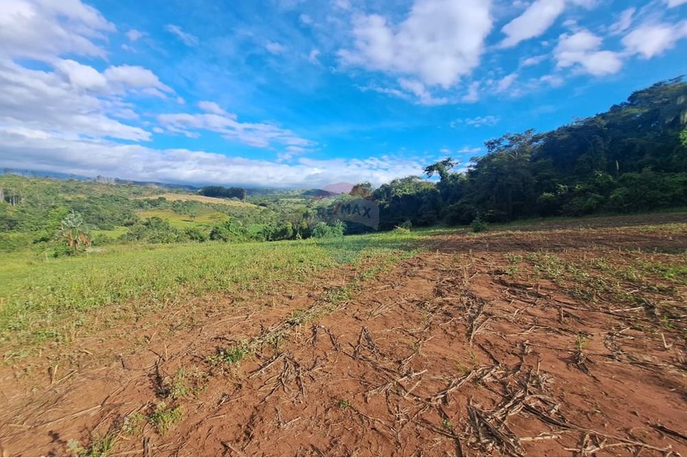Fazenda - Venda - Cajuru , São Paulo - IMG-20250406-WA0197.jpg - 780171030-57
