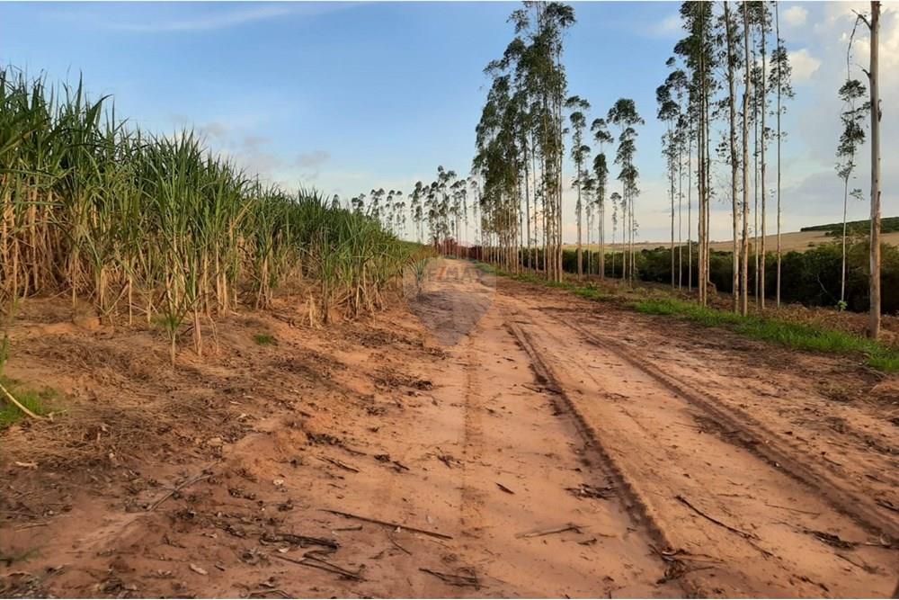 Terreno - Venda - Altinópolis , São Paulo - WhatsApp Image 2025-02-19 at 14.59.36 (1).jpeg - Layout aberto - 780091026-186
