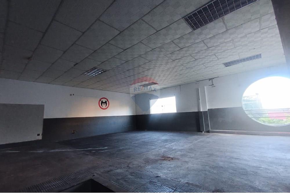 Ponto Comercial/ Loja - Alugar - Ribeirão Preto , São Paulo - IMG-20250731-WA0013.jpg - 780181012-742