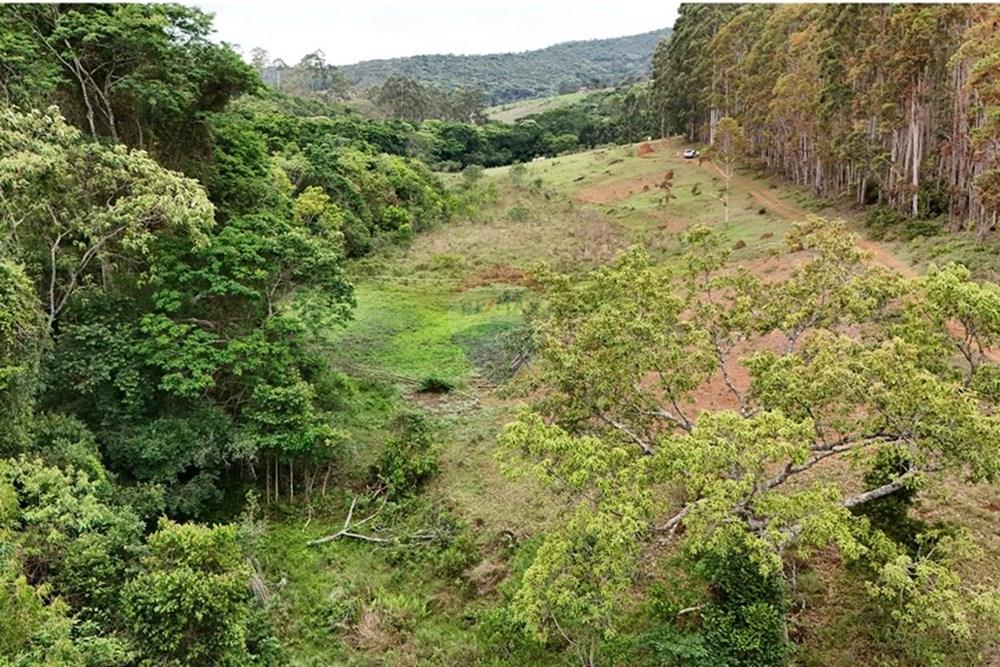 Chácara / Sítio / Fazenda - Venda - Aiuruoca , Minas Gerais - DJI_20241113153404_0306_D.JPG - 780251035-5
