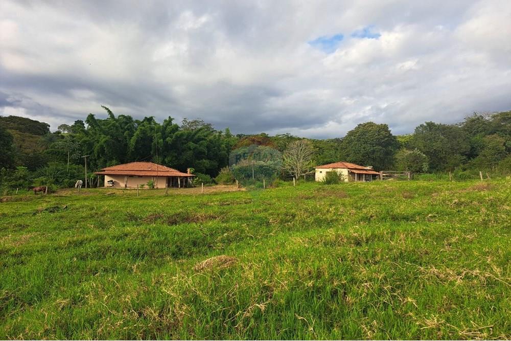 Chácara / Sítio / Fazenda - Venda - Cajuru , São Paulo - IMG-20250406-WA0130.jpg - 780171030-59