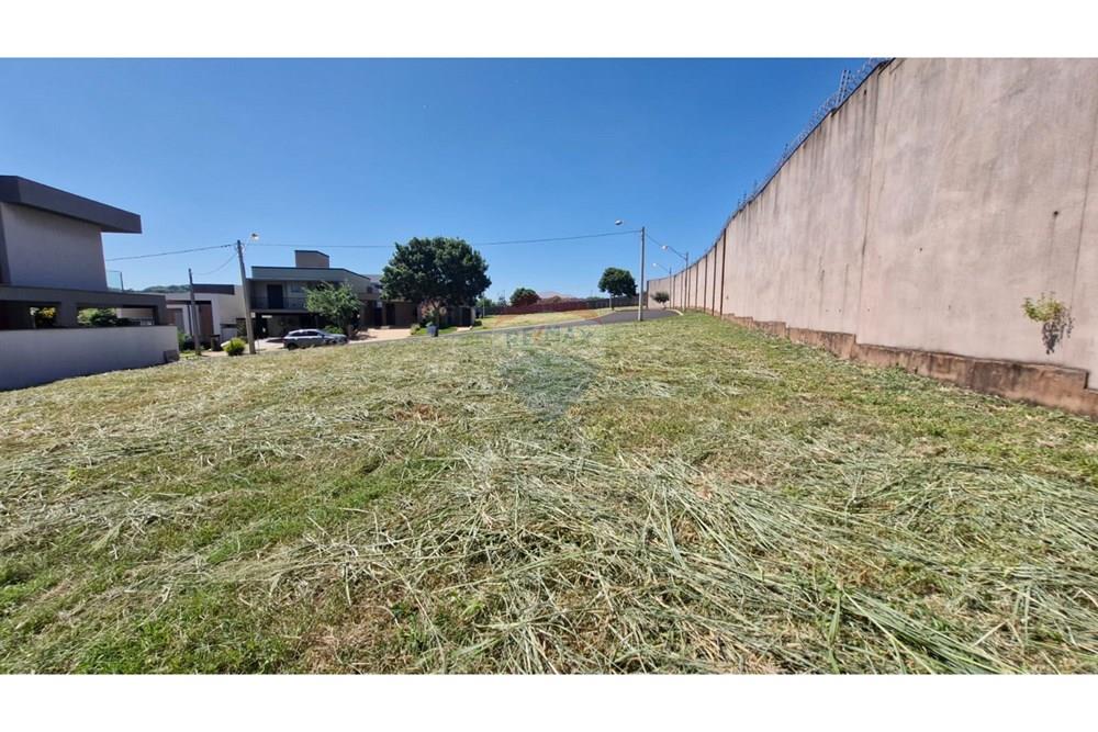 Terreno - Venda - Ribeirão Preto , São Paulo - WhatsApp Image 2025-03-21 at 11.20.34 (1).jpeg - 780181011-265