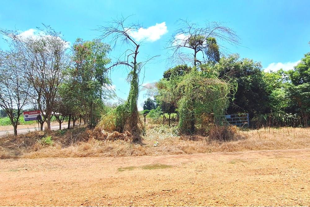 Terreno - Venda - Guatapará , São Paulo - 20250316_112445.jpg - 780261028-15