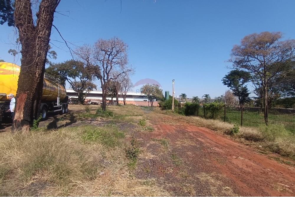 Galpão - Alugar - Ribeirão Preto , São Paulo - IMG_20250708_112947.jpg - 780181012-717