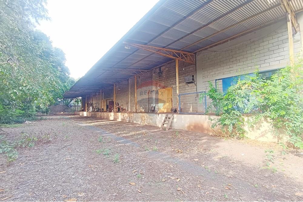 Galpão - Alugar - Ribeirão Preto , São Paulo - IMG_20250423_154930.jpg - 780181012-635