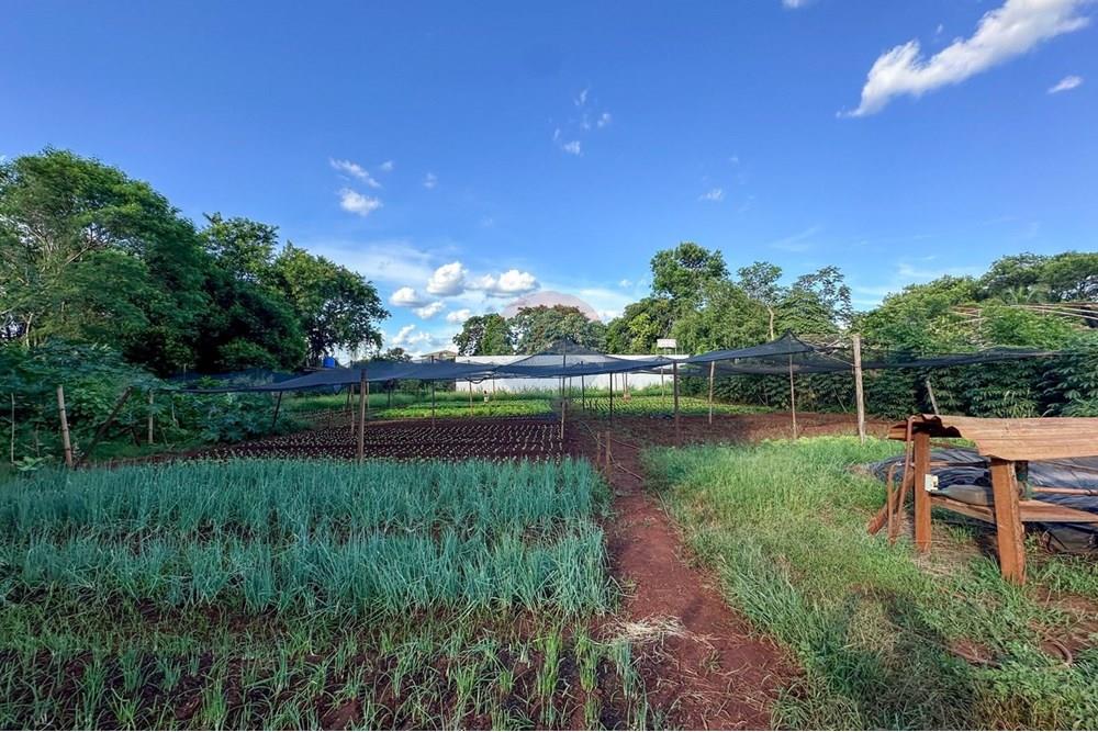 Terreno - Venda - Ribeirão Preto , São Paulo - 18.jpg - 780241010-16