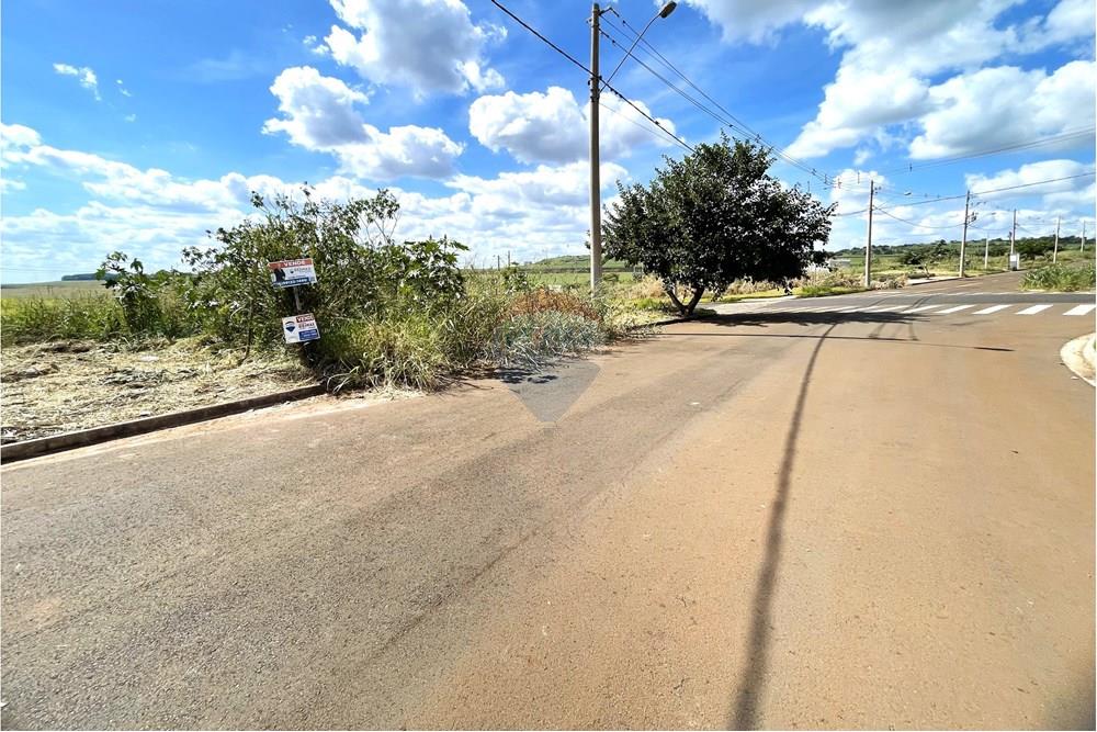 Terreno - Venda - Ribeirão Preto , São Paulo - IMG_66101.jpg - 780171027-39