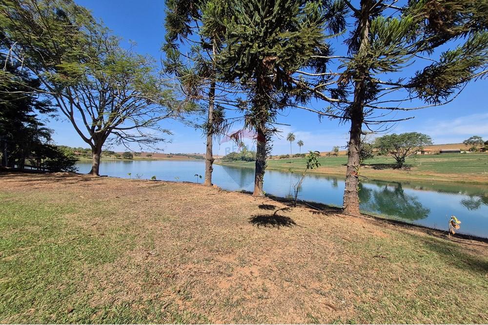 Chácara / Sítio / Fazenda - Venda - Delfinópolis , Minas Gerais - 20250718_111525.jpg - 780251001-55