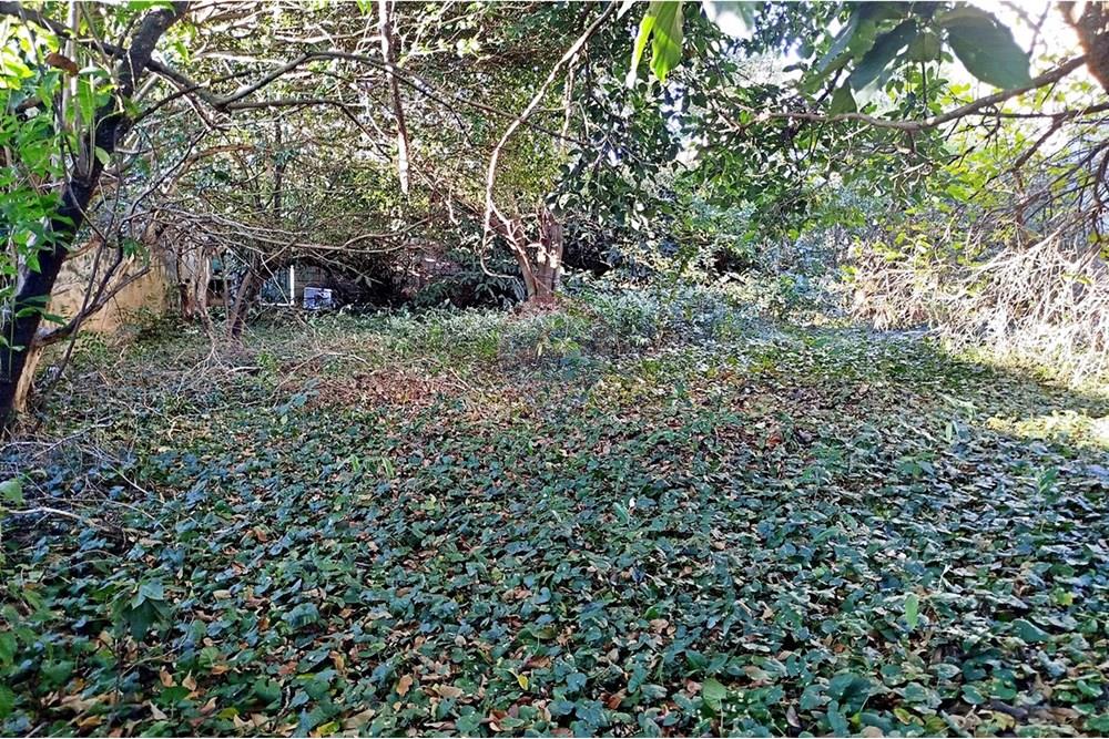 Terreno - Venda - Ribeirão Preto , São Paulo - 01_Terreno Sumaré_Alto Boa Vista (12).jpg - Layout aberto - 780091021-79